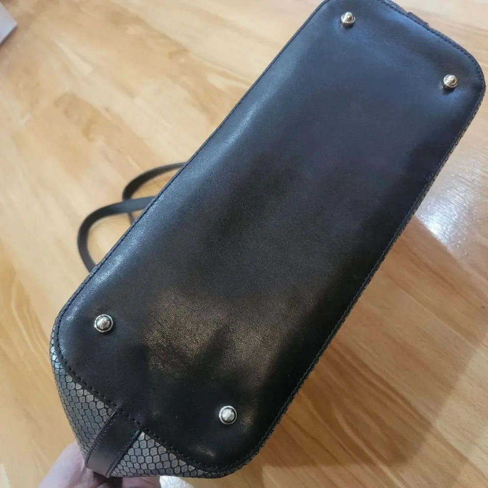 Brahmin medium asher